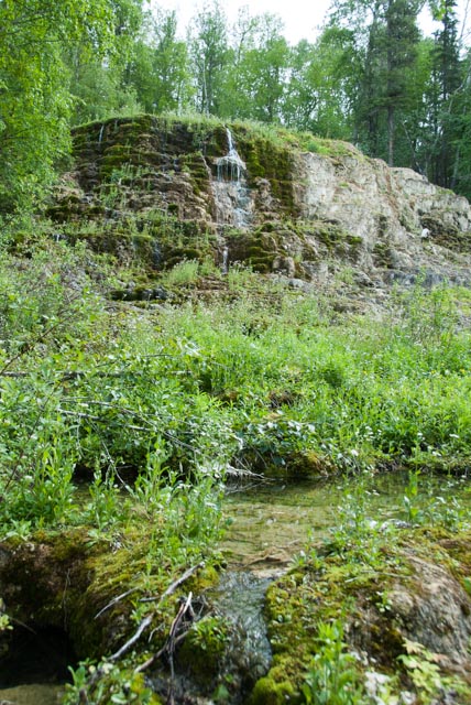 Hanging gardens at Liard Hot Springs, BC