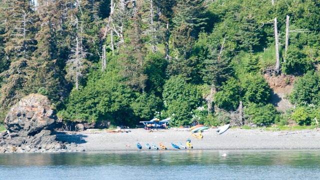 Tour groups and individuals take water taxis across the bay to camp, hike, paddle, and enjoy the area.