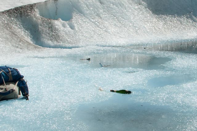 The champagne is "on ice." There is no problem finding a place to chill your wine here, even on July 5!
